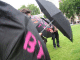 IMG_7569_t.gif