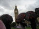 IMG_7571_t.gif