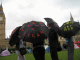 IMG_7575_t.gif