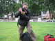 IMG_7578_t.gif