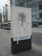 IMG_6294.v0_t.gif