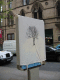 IMG_6319.v0_t.gif
