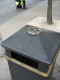 IMG_6322.v0_t.gif