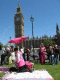 IMG_1474.v0_t.gif