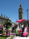 IMG_1475.v0_t.gif