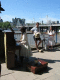 IMG_1487.v0_t.gif