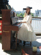 IMG_1489.v0_t.gif