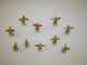 DSCN0005_t.gif
