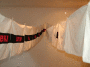 DSCF4860_t.gif