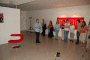 DSC_5439_t.gif