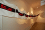 DSC_5456_t.gif