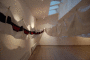 DSC_5459_t.gif