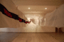 DSC_5463_t.gif