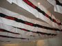 IMG_1771_t.gif