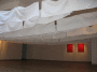 IMG_1807_t.gif