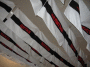 IMG_1809_t.gif