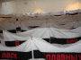 IMG_1827_t.gif