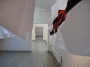 IMG_1831_t.gif
