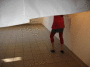 IMG_1727_t.gif