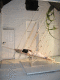 IMG_5751.v0_t.gif