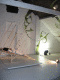 IMG_5752.v0_t.gif