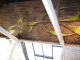 IMG_5753_t.gif