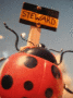 IMG_1515.v0_t.gif