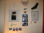IMG_1519_t.gif