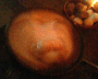070723.Pig_coffee_t.gif
