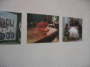 IMG_8900_t.gif