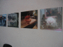 IMG_8901_t.gif
