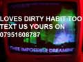 100307.loves-dirty-habit-500.120.jpg