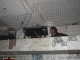 IMG_3299_t.gif