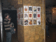 IMG_3336_t.gif