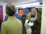 DSCF9369_t.gif