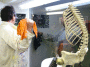 DSCF9373_t.gif