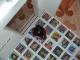 IMG_5179_t.gif