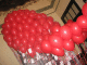 IMG_5188_t.gif