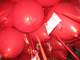 IMG_5190_t.gif