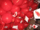 IMG_5193_t.gif