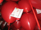 IMG_5194_t.gif