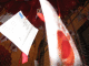 IMG_5195_t.gif