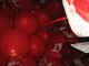IMG_5197_t.gif