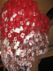 IMG_5202.v0_t.gif