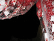 IMG_5206_t.gif