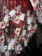 IMG_5212.v0_t.gif