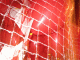 IMG_5232_t.gif