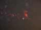 IMG_5237_t.gif