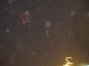 IMG_5238_t.gif