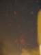 IMG_5239.v0_t.gif